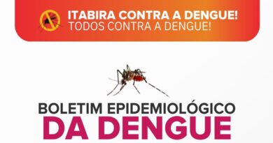 Boletim epidemiológico dengue Itabira