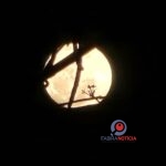 Eclipse lunar parcial vai esconder 96% da Lua na madrugada desta sexta-feira