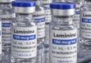 Testes clínicos fase 1 da polilaminina começam este mês