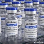 Testes clínicos fase 1 da polilaminina começam este mês